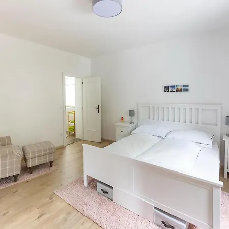 Gailtaler At An Excursion Location