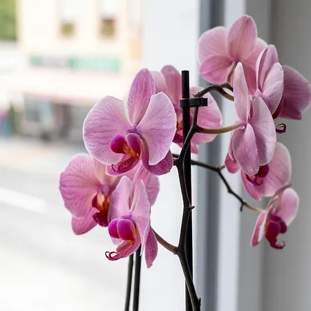 Gailtaler At An Excursion Location Appartement Kotschach-Mauthen