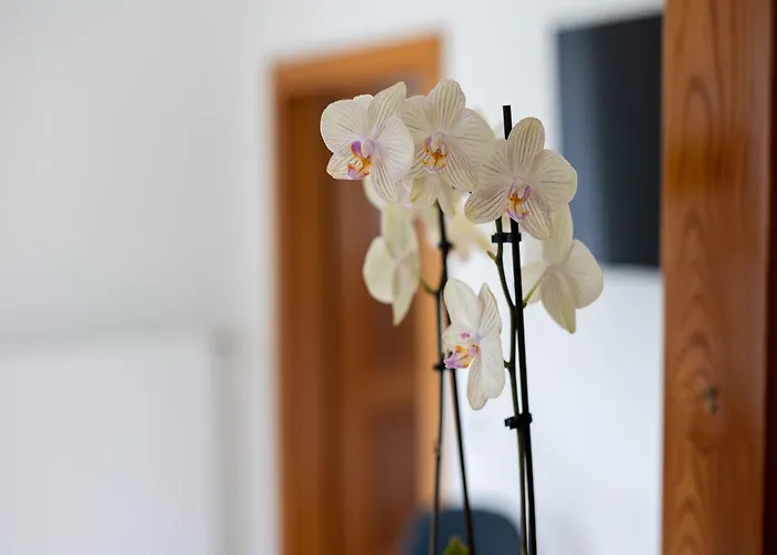 Gailtaler At An Excursion Location *