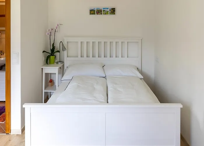 Gailtaler At An Excursion Location * Kotschach-Mauthen