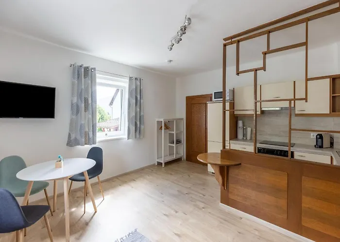 Gailtaler At An Excursion Location *